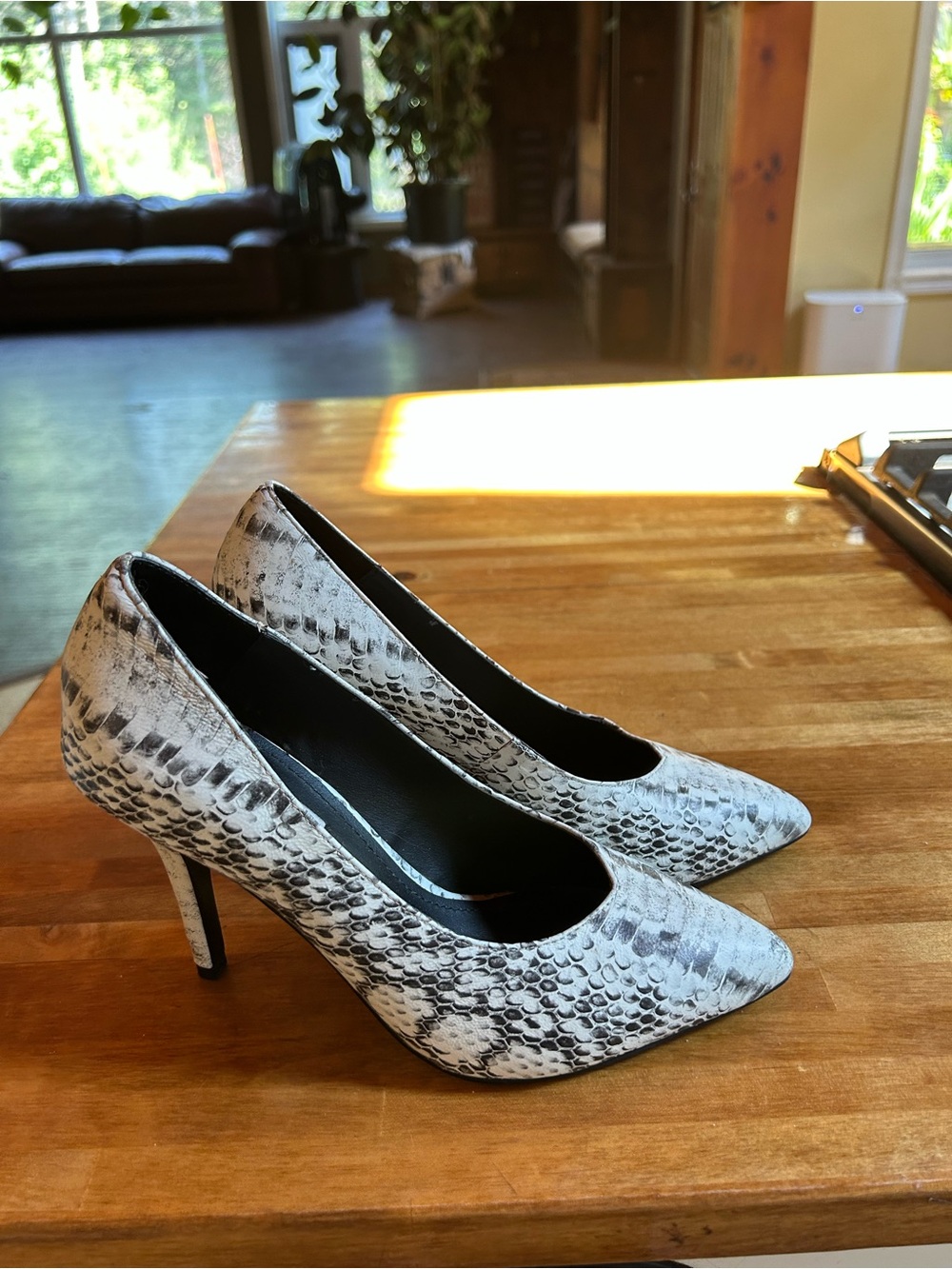 Steve Madden Pointed Toe Snake-Print Pumps in Black & White NWOT